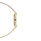 Montre Daniel Wellington PETITE EVERGOLD