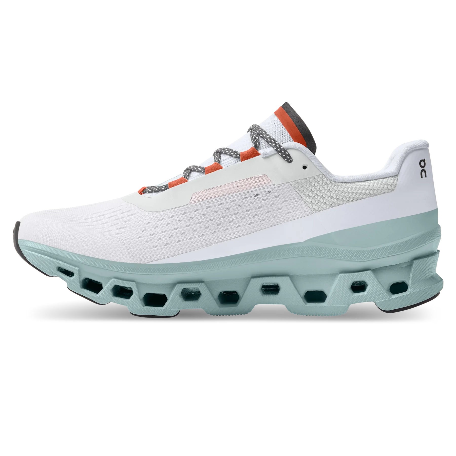 On Running Cloudmonster "Frost Surf"