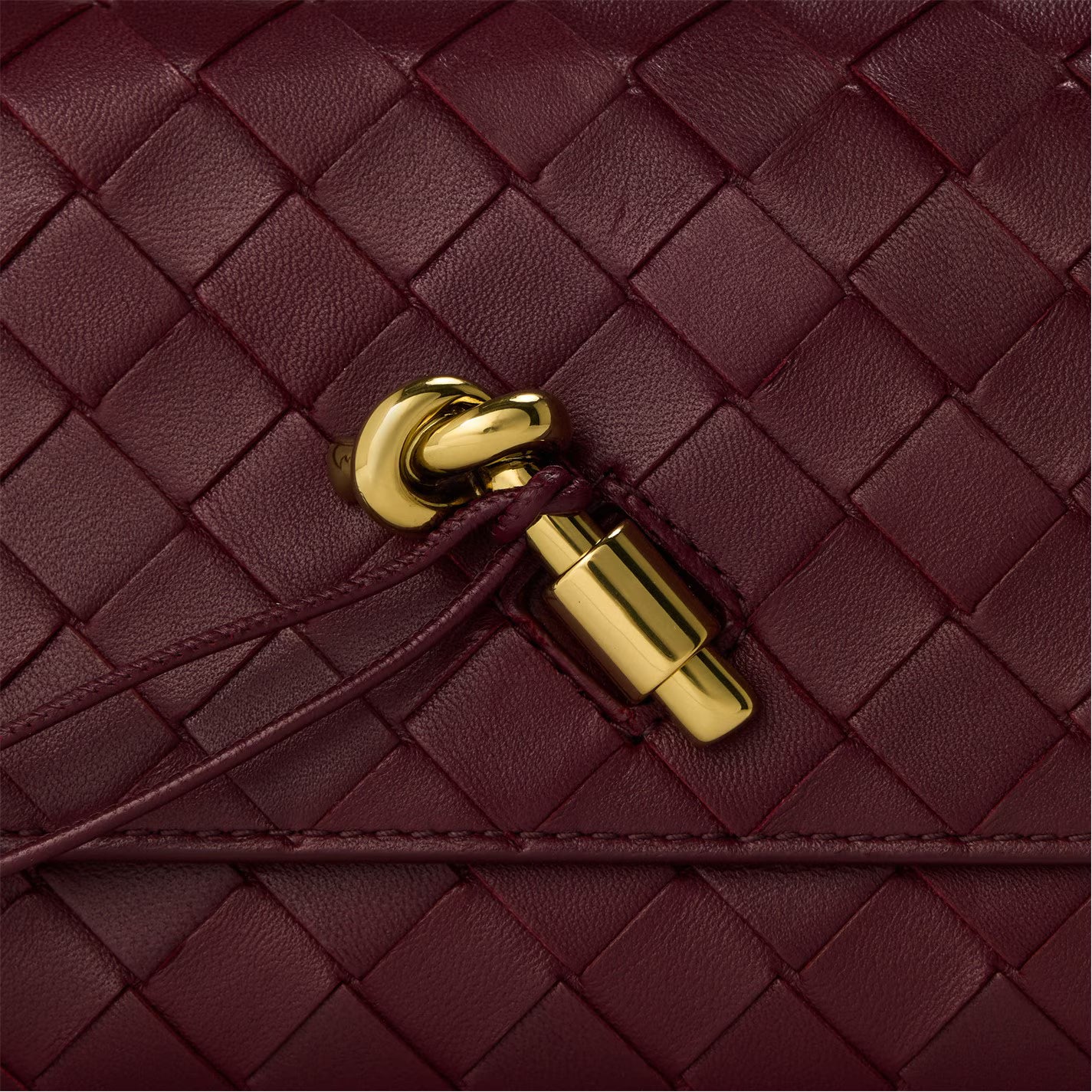 Sac Bottega Veneta Andiamo Pouch - Bordeaux