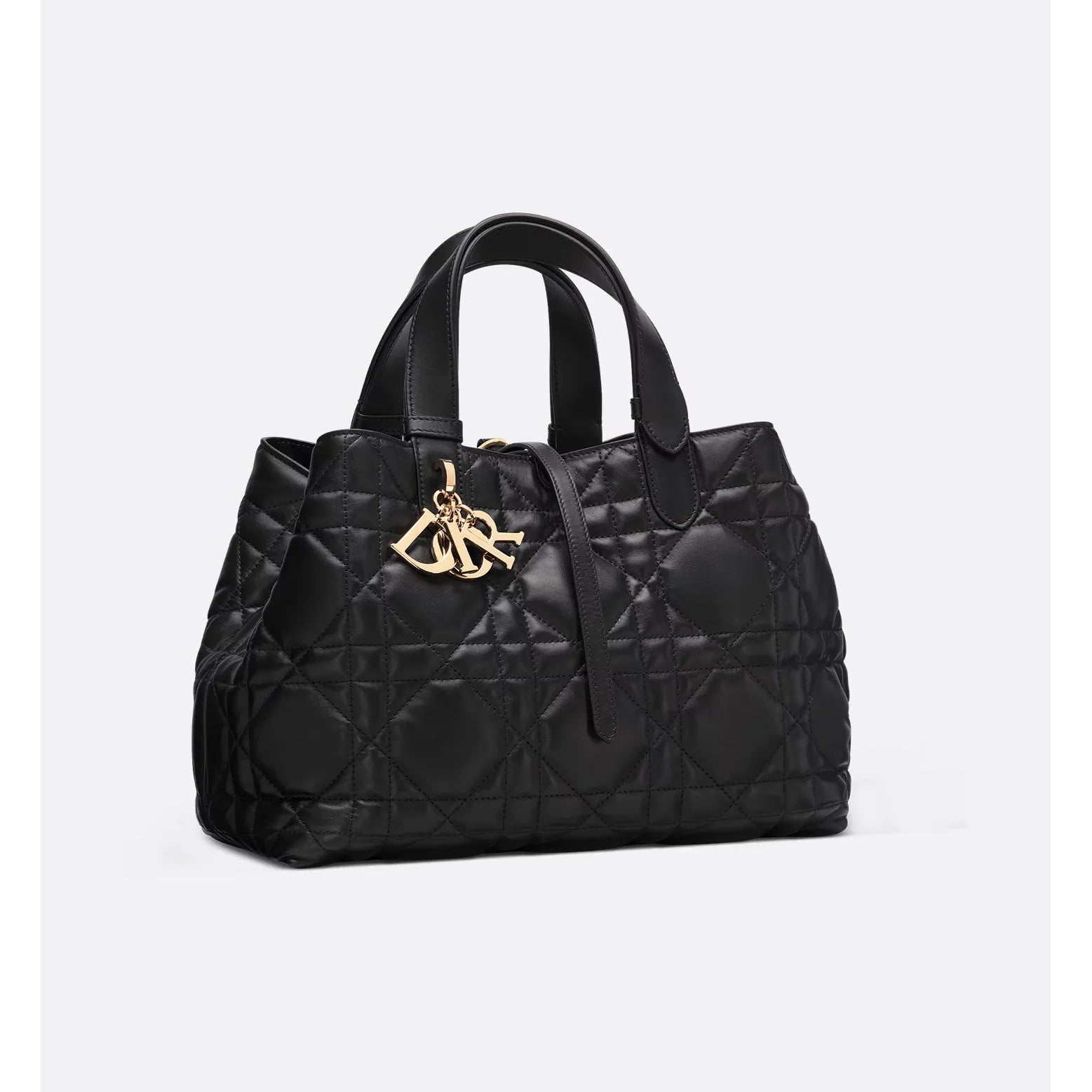 Sac Dior Medium Toujours - Noir