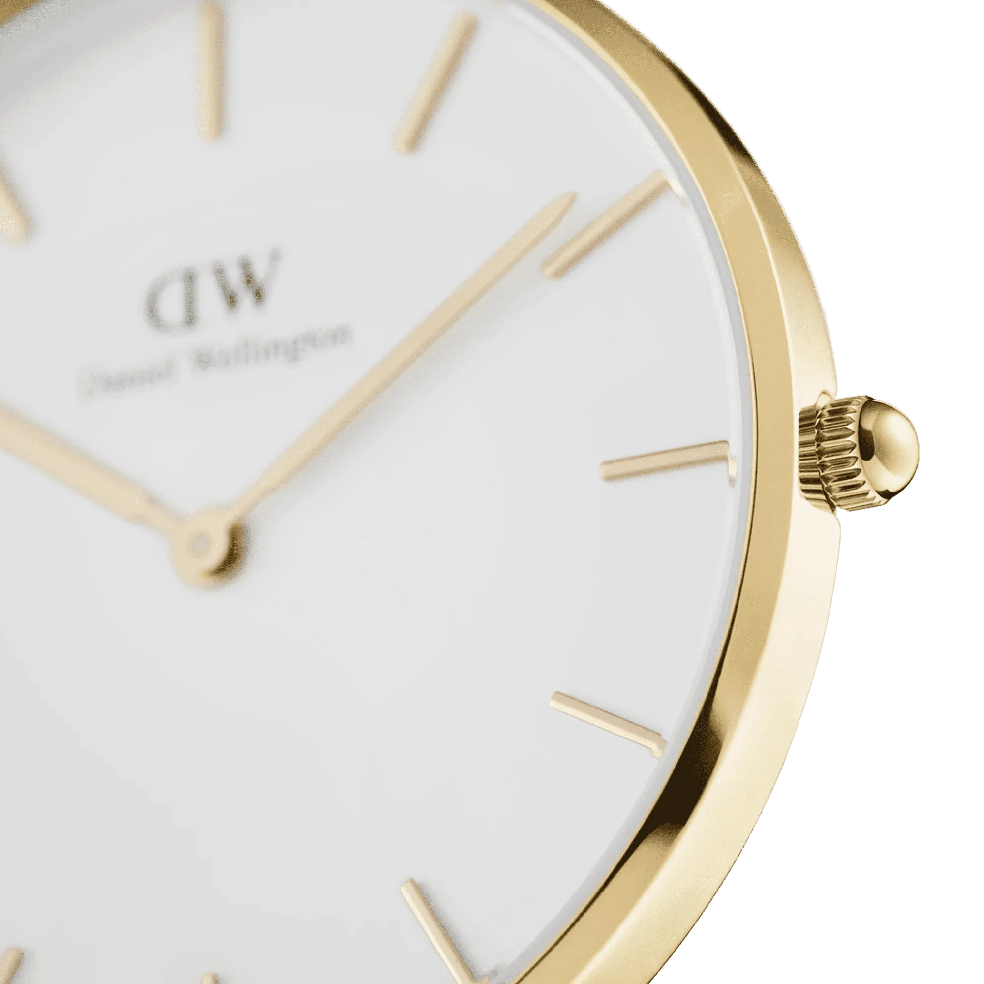 Montre Daniel Wellington PETITE EVERGOLD