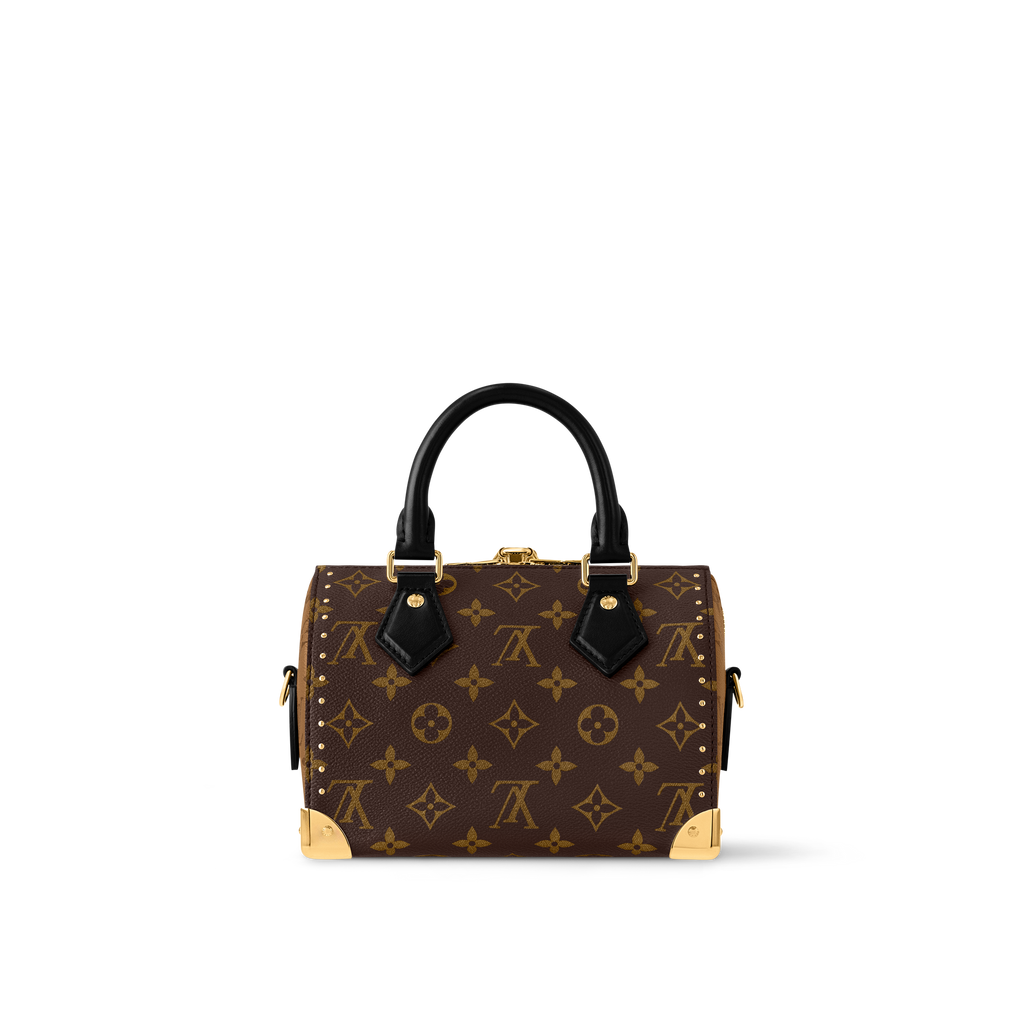 Sac Louis Vuitton - Speedy Trunk 20