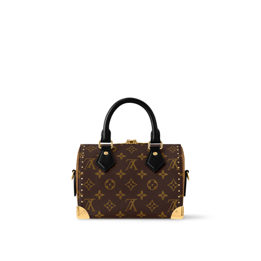 Sac Louis Vuitton - Speedy Trunk 20